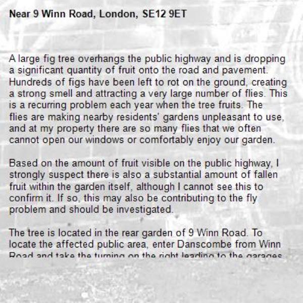 A large fig tree overhangs the public highway and is dropping a significant quantity of fruit onto the road and pavement. Hundreds of figs have been left to rot on the ground, creating a strong smell and attracting a very large number of flies. This is a recurring problem each year when the tree fruits. The flies are making nearby residents' gardens unpleasant to use, and at my property there are so many flies that we often cannot open our windows or comfortably enjoy our garden.

Based on the amount of fruit visible on the public highway, I strongly suspect there is also a substantial amount of fallen fruit within the garden itself, although I cannot see this to confirm it. If so, this may also be contributing to the fly problem and should be investigated.

The tree is located in the rear garden of 9 Winn Road. To locate the affected public area, enter Danscombe from Winn Road and take the turning on the right leading to the garages. The rotting fruit is clearly visible on the ground in this area. Photos are attached.-9 Winn Road, London, SE12 9ET