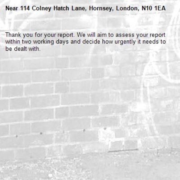 Thank you for your report. We will aim to assess your report within two working days and decide how urgently it needs to be dealt with.-114 Colney Hatch Lane, Hornsey, London, N10 1EA