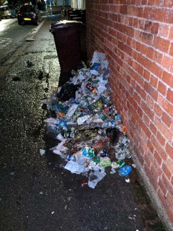 Excess rubbish, rats-1 Valentia Road, RG30 1DL, England, United Kingdom