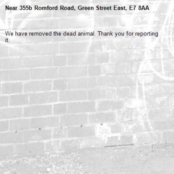 We have removed the dead animal. Thank you for reporting it.-355b Romford Road, Green Street East, E7 8AA