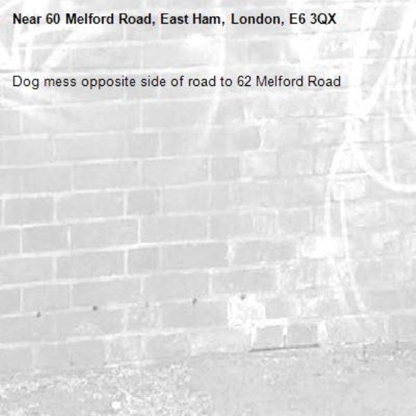 Dog mess opposite side of road to 62 Melford Road-60 Melford Road, East Ham, London, E6 3QX