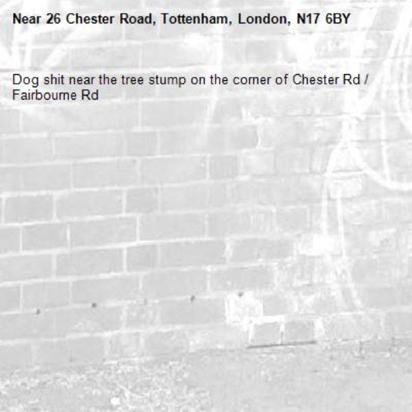 Dog shit near the tree stump on the corner of Chester Rd / Fairbourne Rd-26 Chester Road, Tottenham, London, N17 6BY
