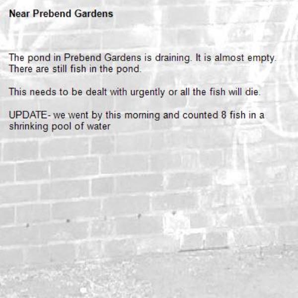 The pond in Prebend Gardens is draining. It is almost empty. There are still fish in the pond. 

This needs to be dealt with urgently or all the fish will die.

UPDATE- we went by this morning and counted 8 fish in a shrinking pool of water-Prebend Gardens