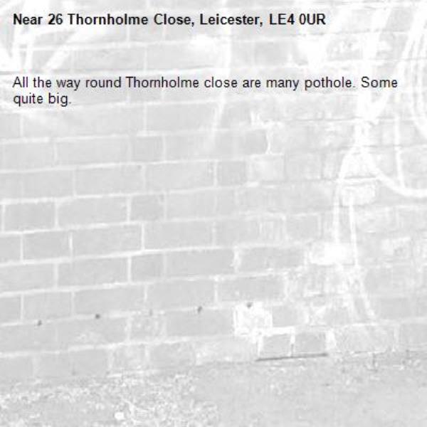 All the way round Thornholme close are many pothole. Some quite big.-26 Thornholme Close, Leicester, LE4 0UR