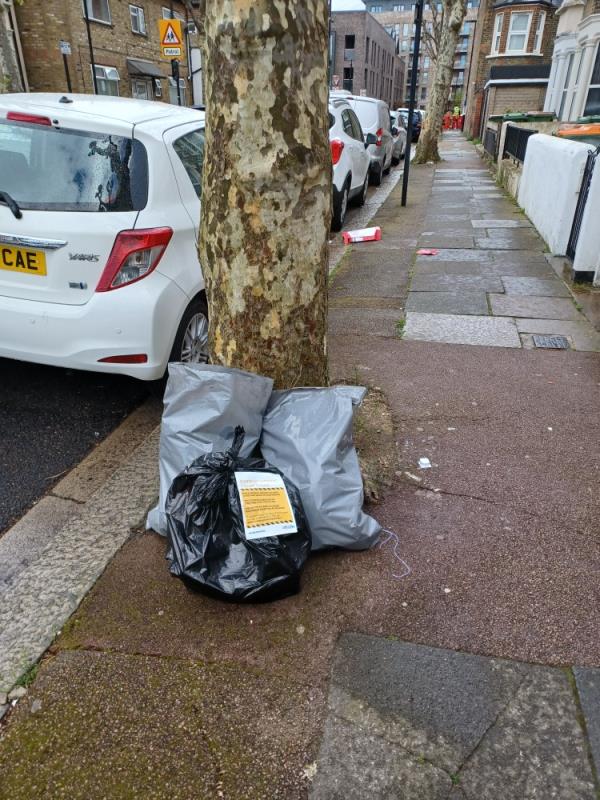 Garden and household waste fly tipped underneath a tree at 9 Walton Road, E13. -9 Walton Road, Upton Park, London, E13 9BW