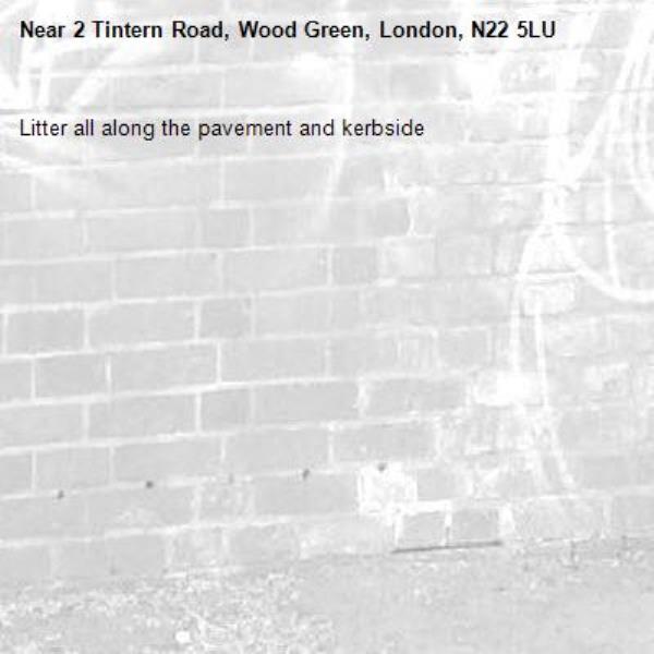 Litter all along the pavement and kerbside -2 Tintern Road, Wood Green, London, N22 5LU