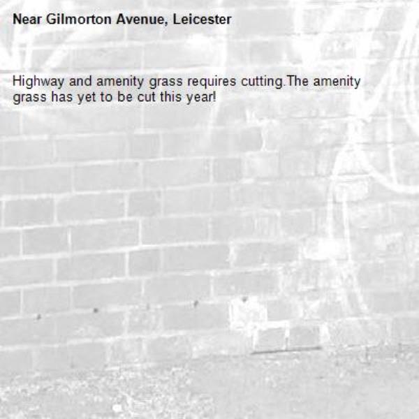 Highway and amenity grass requires cutting.The amenity grass has yet to be cut this year!-Gilmorton Avenue, Leicester