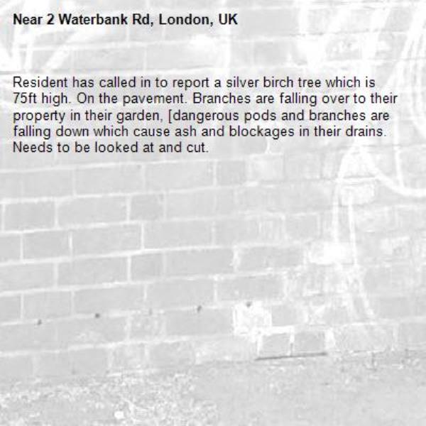 Resident has called in to report a silver birch tree which is 75ft high. On the pavement. Branches are falling over to their property in their garden, [dangerous pods and branches are falling down which cause ash and blockages in their drains. Needs to be looked at and cut.-2 Waterbank Rd, London, UK