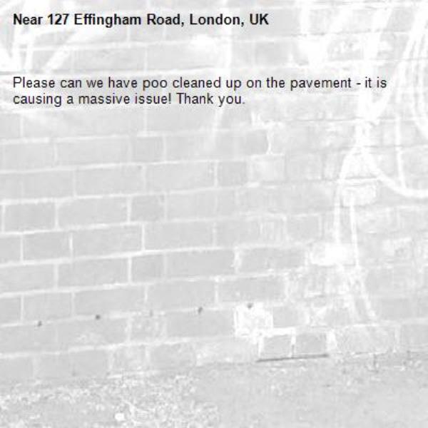 Please can we have poo cleaned up on the pavement - it is causing a massive issue! Thank you.-127 Effingham Road, London, UK