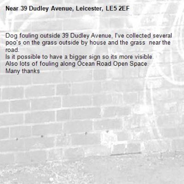 Dog fouling outside 39 Dudley Avenue, I've collected several poo's on the grass outside by house and the grass  near the road. 
Is it possible to have a bigger sign so its more visible. 
Also lots of fouling along Ocean Road Open Space.
Many thanks -39 Dudley Avenue, Leicester, LE5 2EF