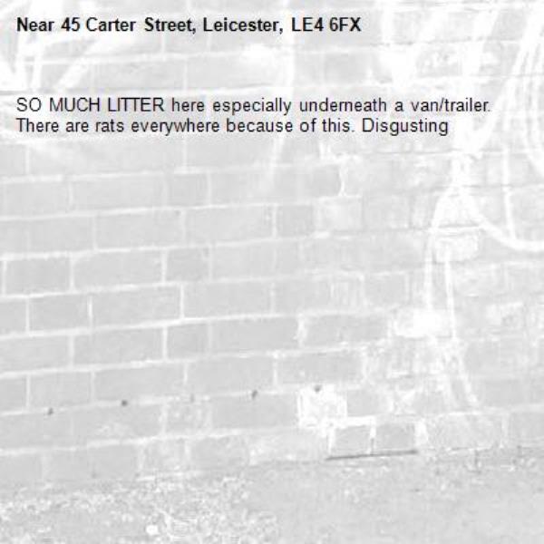 SO MUCH LITTER here especially underneath a van/trailer. There are rats everywhere because of this. Disgusting -45 Carter Street, Leicester, LE4 6FX