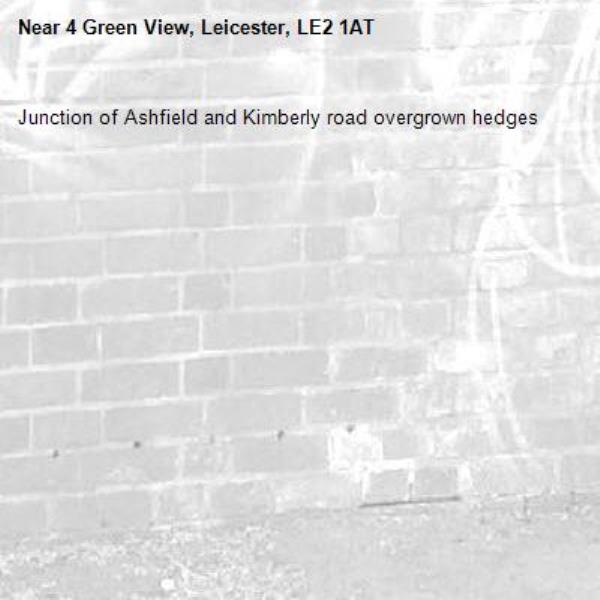 Junction of Ashfield and Kimberly road overgrown hedges-4 Green View, Leicester, LE2 1AT