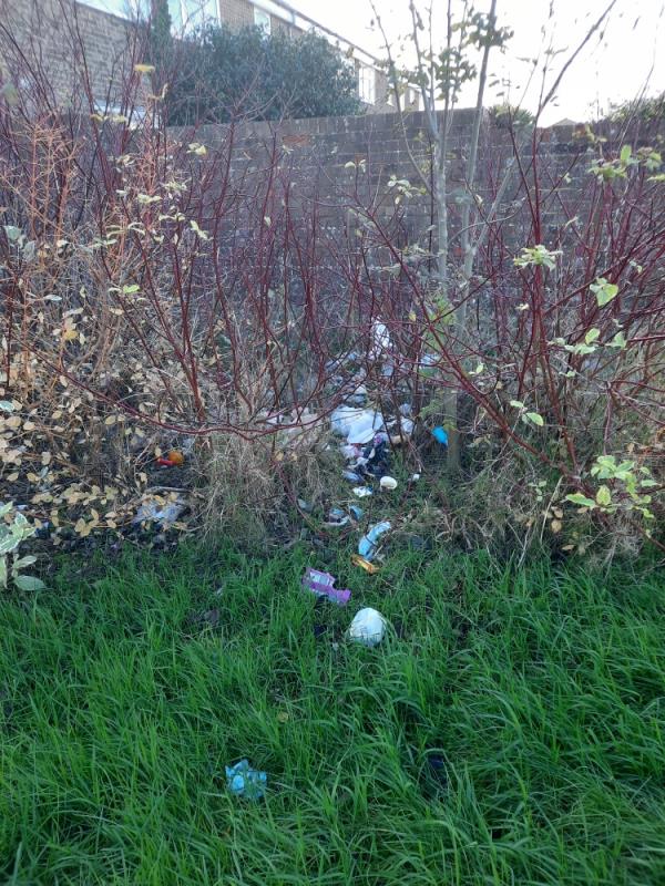 Bags of waste left here and over time have split and are now all over verge and in bushes , needs clearing please -9 Harebell Close, The Shinewater, BN23 8BZ, England, United Kingdom