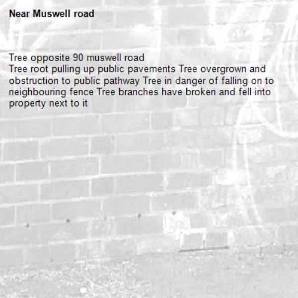 Tree opposite 90 muswell road
Tree root pulling up public pavements Tree overgrown and obstruction to public pathway Tree in danger of falling on to neighbouring fence Tree branches have broken and fell into property next to it-Muswell road
