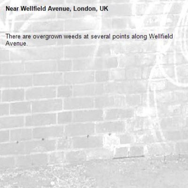 There are overgrown weeds at several points along Wellfield Avenue. -Wellfield Avenue, London, UK