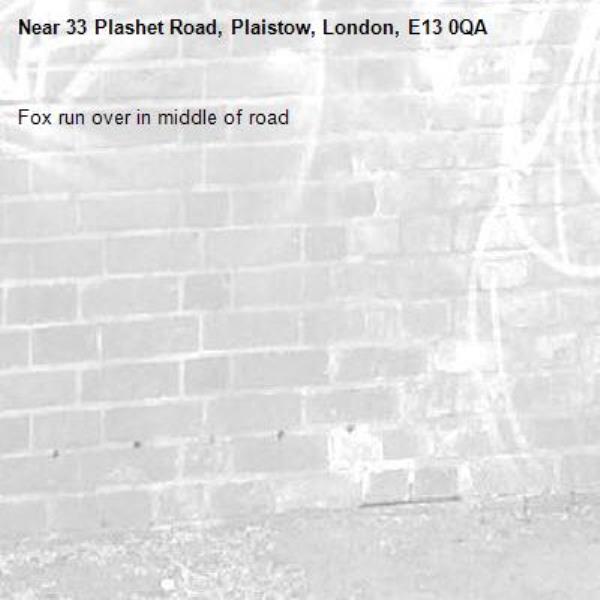 Fox run over in middle of road-33 Plashet Road, Plaistow, London, E13 0QA