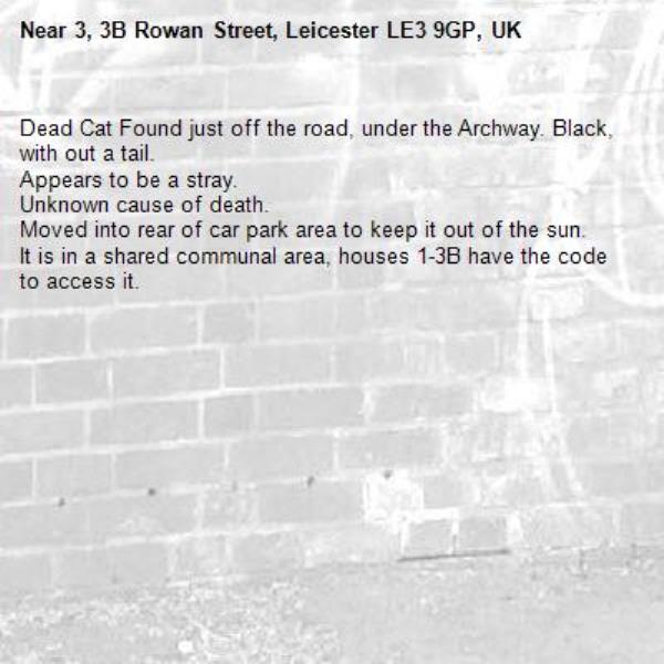 Dead Cat Found just off the road, under the Archway. Black, with out a tail. 
Appears to be a stray. 
Unknown cause of death. 
Moved into rear of car park area to keep it out of the sun. 
It is in a shared communal area, houses 1-3B have the code to access it. 
-3, 3B Rowan Street, Leicester LE3 9GP, UK