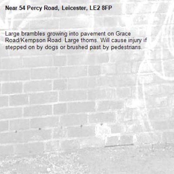 Large brambles growing into pavement on Grace Road/Kempson Road. Large thorns. Will cause injury if stepped on by dogs or brushed past by pedestrians. -54 Percy Road, Leicester, LE2 8FP