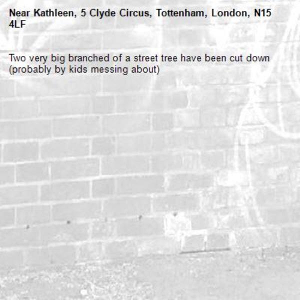 Two very big branched of a street tree have been cut down (probably by kids messing about)-Kathleen, 5 Clyde Circus, Tottenham, London, N15 4LF