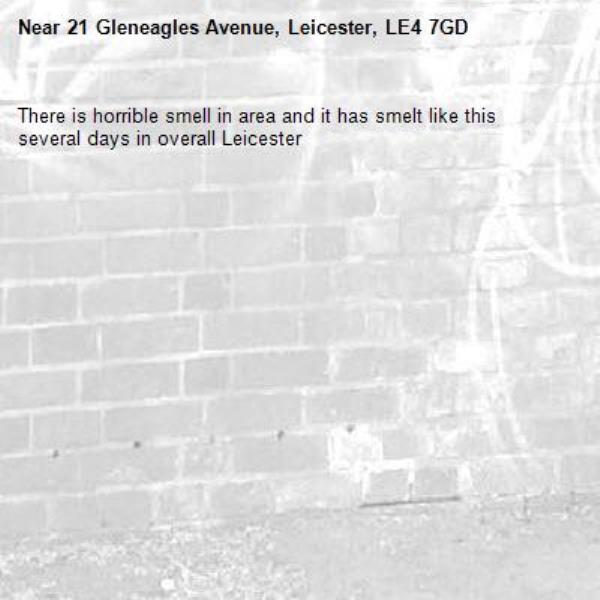 There is horrible smell in area and it has smelt like this several days in overall Leicester -21 Gleneagles Avenue, Leicester, LE4 7GD