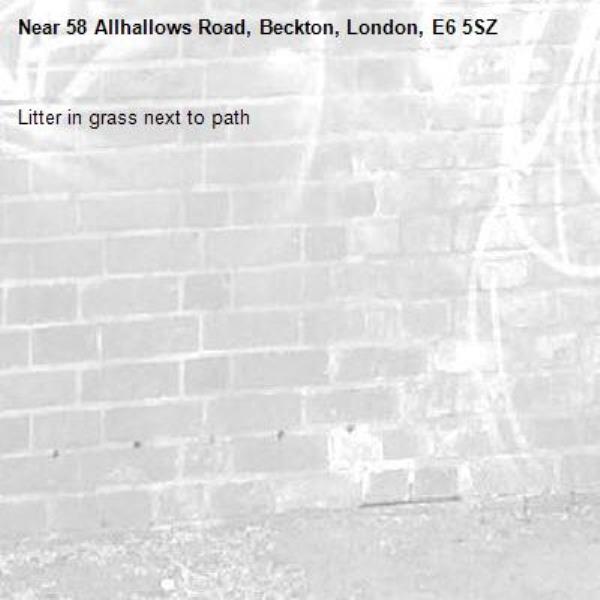 Litter in grass next to path-58 Allhallows Road, Beckton, London, E6 5SZ