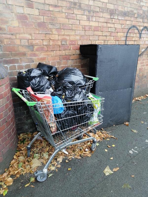 Sofa and bags of rubbish, shopping cart-Newhampton Arts Centre Dunkley Street, Wolverhampton, WV1 4AN