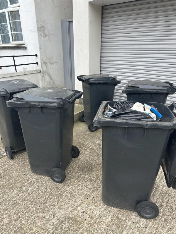 Once again your collection team missed our black bins Collection- please report it to the right team and ask them to empty it asap-111 Catford Hill, London, SE6 4PW
