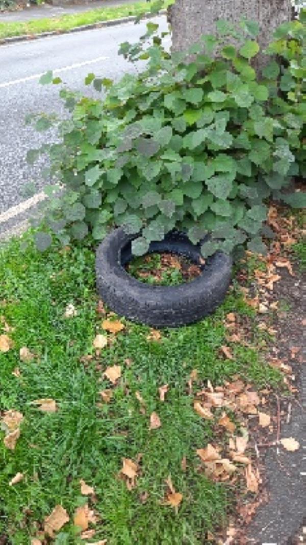 car tyre on verge-1 Bath Road, RG1 6HH, England, United Kingdom