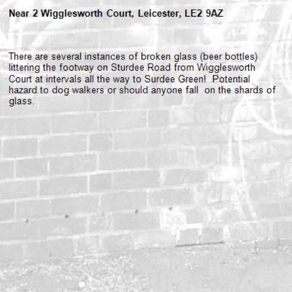 There are several instances of broken glass (beer bottles) littering the footway on Sturdee Road from Wigglesworth Court at intervals all the way to Surdee Green!  Potential hazard to dog walkers or should anyone fall  on the shards of glass.   -2 Wigglesworth Court, Leicester, LE2 9AZ