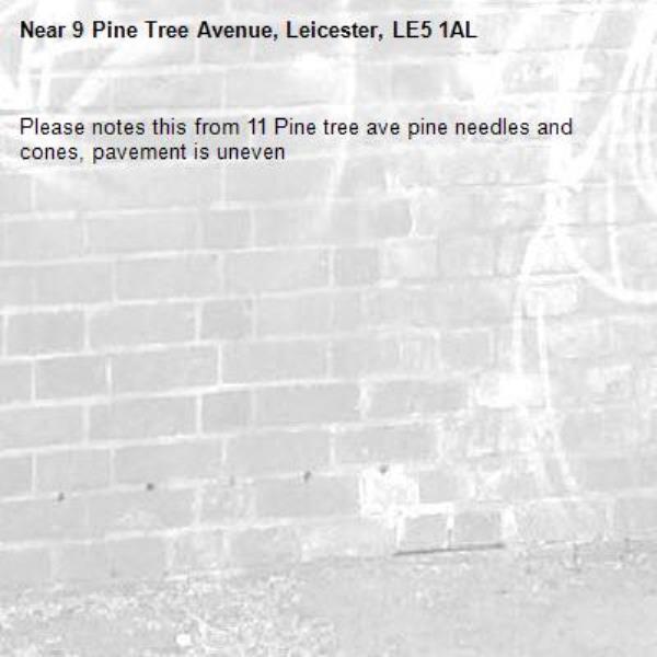 Please notes this from 11 Pine tree ave pine needles and cones, pavement is uneven-9 Pine Tree Avenue, Leicester, LE5 1AL