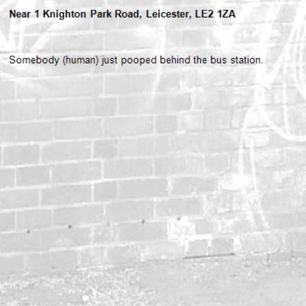 Somebody (human) just pooped behind the bus station.-1 Knighton Park Road, Leicester, LE2 1ZA