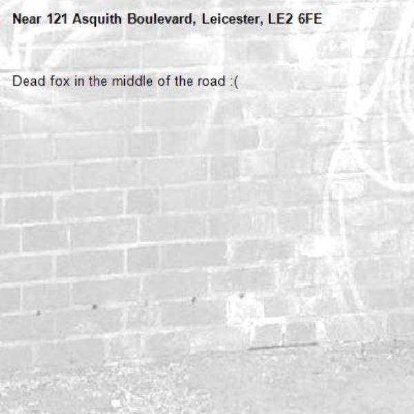 Dead fox in the middle of the road :(-121 Asquith Boulevard, Leicester, LE2 6FE
