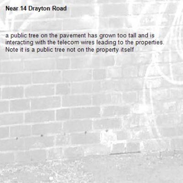 a public tree on the pavement has grown too tall and is interacting with the telecom wires leading to the properties. Note it is a public tree not on the property itself-14 Drayton Road