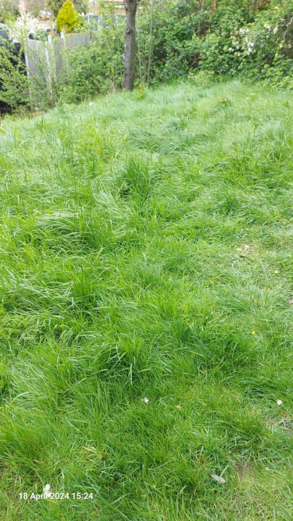 Hi. The grass on the parcel of land next to 96 Rockingham Close is completely overgrown. It was cut last year, please arrange cutting of it. Thanks -96 Rockingham Close, Leicester, LE5 4EG