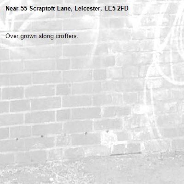 Over grown along crofters. -55 Scraptoft Lane, Leicester, LE5 2FD