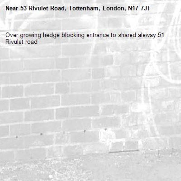 Over growing hedge blocking entrance to shared aleway 51 Rivulet road -53 Rivulet Road, Tottenham, London, N17 7JT