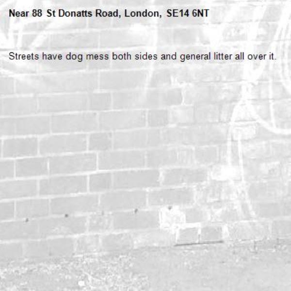 Streets have dog mess both sides and general litter all over it. -88 St Donatts Road, London, SE14 6NT