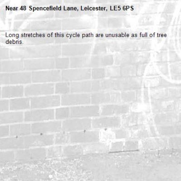 Long stretches of this cycle path are unusable as full of tree debris. -48 Spencefield Lane, Leicester, LE5 6PS