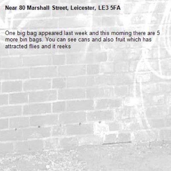 One big bag appeared last week and this morning there are 5 more bin bags. You can see cans and also fruit which has attracted flies and it reeks -80 Marshall Street, Leicester, LE3 5FA