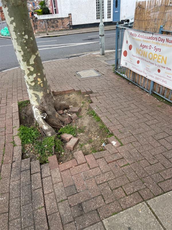 Tree pit with lots of loose bricks narrowing pavement -150 Totterdown Street, London, SW17 8TD
