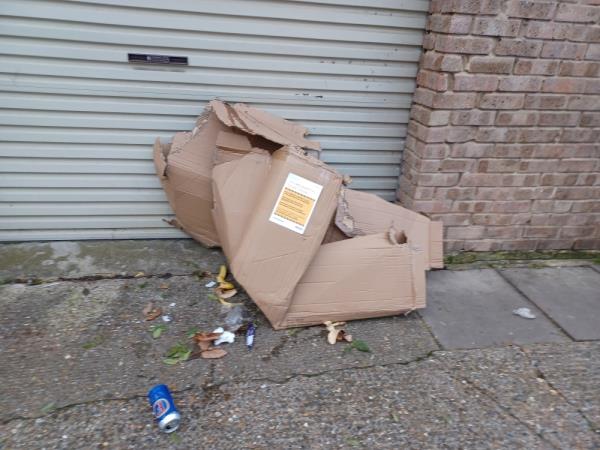 Cardboard box fly tipped at 2 Waghorn Road, E13. -2 Waghorn Road, Upton Park, London, E13 9JQ