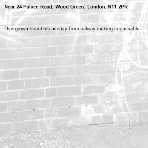 Overgrown brambles and ivy from railway making impassable -24 Palace Road, Wood Green, London, N11 2PR