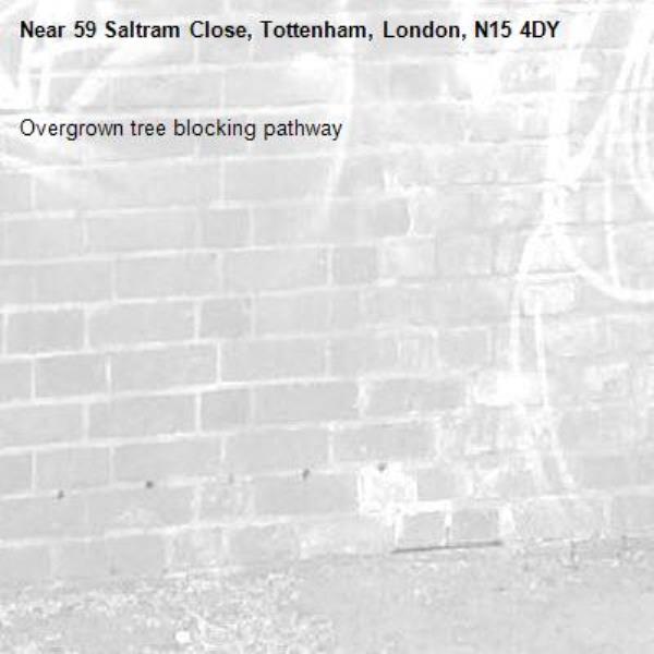 Overgrown tree blocking pathway-59 Saltram Close, Tottenham, London, N15 4DY