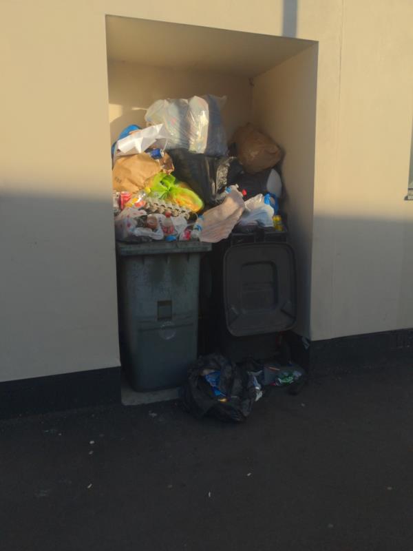 Rubbish continuously overloaded-52 Major Road, London, E15 1EH