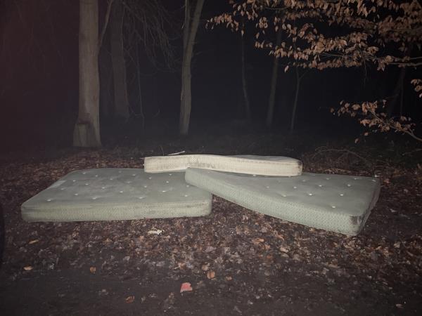 3 double mattresses dump on the side of the road by lay-by -Shoe Lane, Aldershot, GU11 2HE