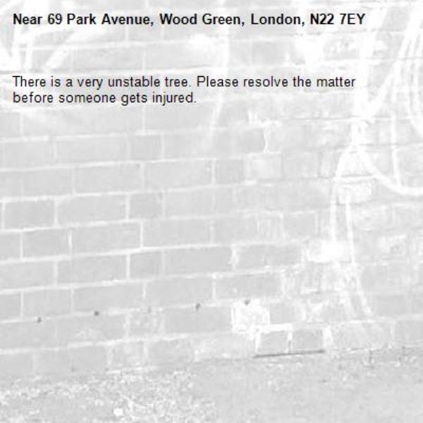 There is a very unstable tree. Please resolve the matter before someone gets injured.-69 Park Avenue, Wood Green, London, N22 7EY