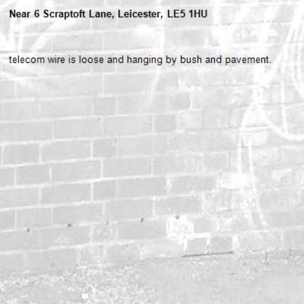 telecom wire is loose and hanging by bush and pavement.-6 Scraptoft Lane, Leicester, LE5 1HU