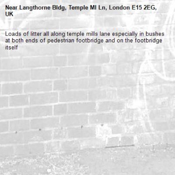 Loads of litter all along temple mills lane especially in bushes at both ends of pedestrian footbridge and on the footbridge itself -Langthorne Bldg, Temple Ml Ln, London E15 2EG, UK