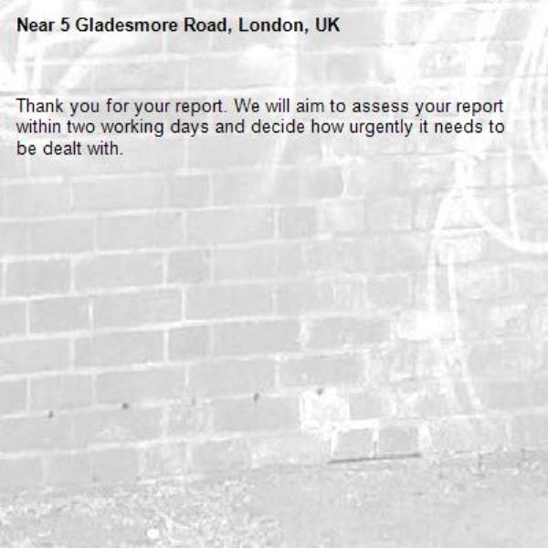 Thank you for your report. We will aim to assess your report within two working days and decide how urgently it needs to be dealt with.-5 Gladesmore Road, London, UK