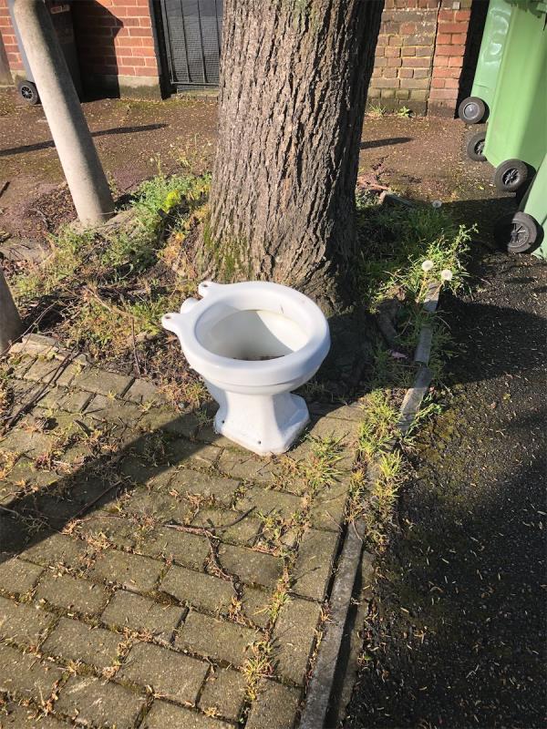 Please clear a toilet pan from by Car Park-24 Lambscroft Avenue, Grove Park, London, SE9 4NZ